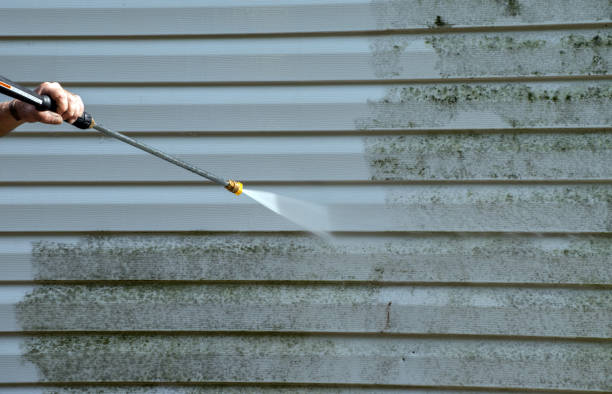 Best Building Exterior Washing  in Valinda, CA